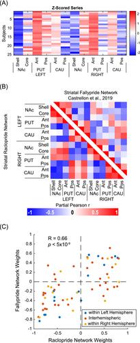 Intra-striatal dopaminergic inter-subject covariance in social drinkers and non-treatment-seeking alcohol use disorder participants