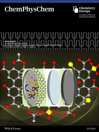 Cover Feature: Exploration of Optimization Strategies for Locking Sulfur in 2D Layered/Polymer-Enveloped Cathode Composite for High Power Li-S Batteries (ChemPhysChem 22/2024)