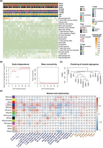 Identification and analysis of a cell communication prognostic signature for oral squamous cell carcinoma at bulk and single-cell levels