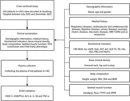 An auxiliary diagnostic approach based on traditional Chinese medicine constitutions for older patients with frailty