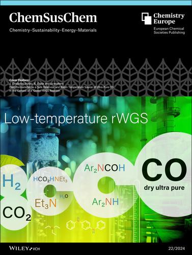 Cover Feature: Diarylformamides as a Safe Reservoir and Room Temperature Source of Ultra-Pure CO in the Context of a ‘Green’ rWGS Reaction (ChemSusChem 22/2024)