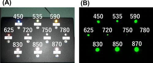 Close Contact Transillumination Light Guides Surgeon to Vaginal Point Aa: Pharus Method for Robot-Assisted Sacrocolpopexy