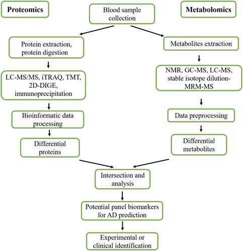 The early diagnosis of Alzheimer's disease: Blood-based panel biomarker discovery by proteomics and metabolomics