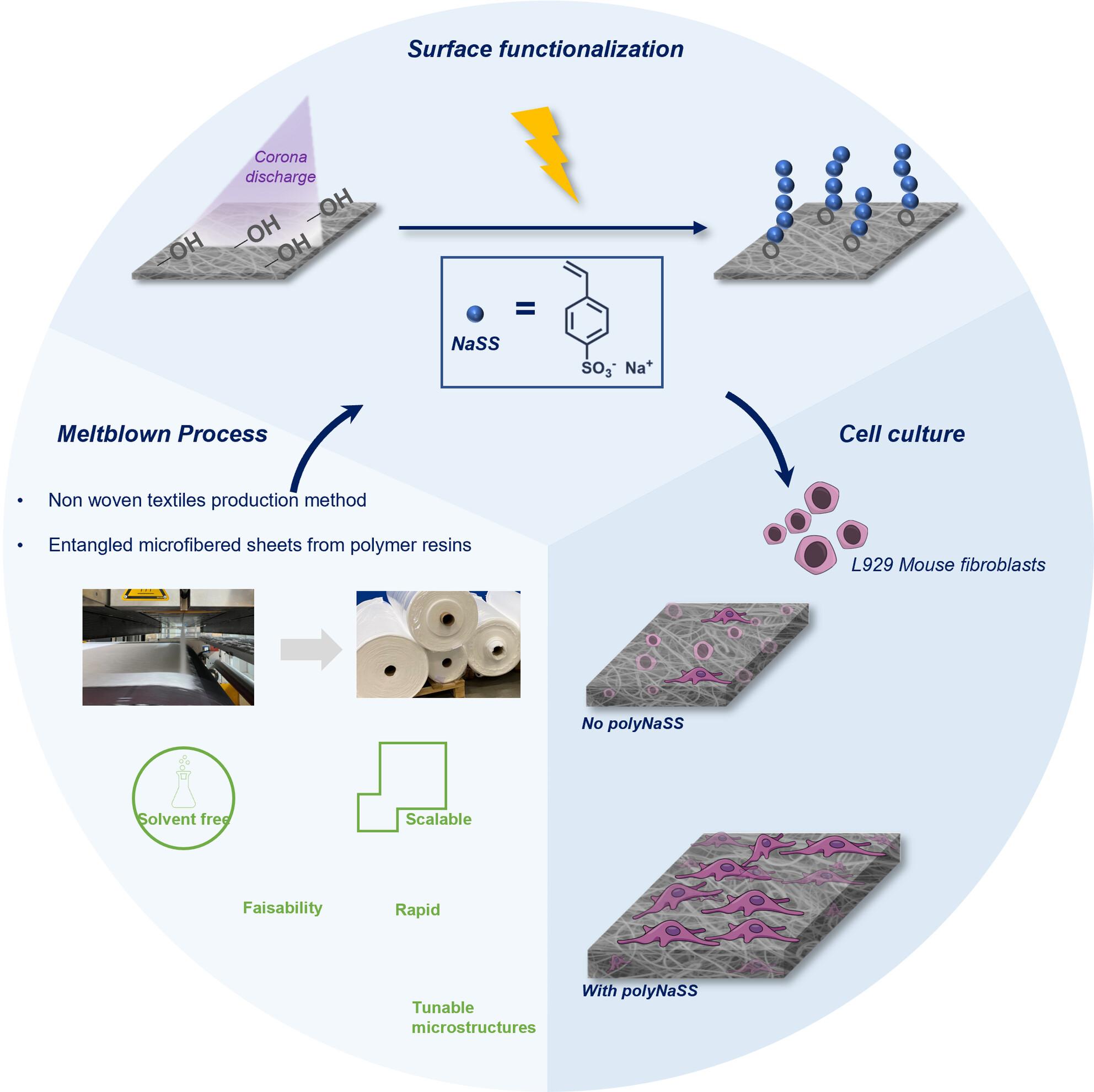 Melt-Blown Polypropylene Membrane Modification for Enhanced Hydrophilicity