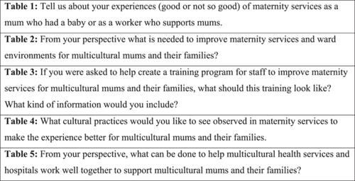 Cultural Humility in Action: Learning From Refugee and Migrant Women and Healthcare Providers to Improve Maternal Health Services in Australia