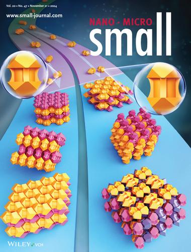 Supercrystal Engineering of Nanoarrows Enabled by Tailored Concavity (Small 47/2024)