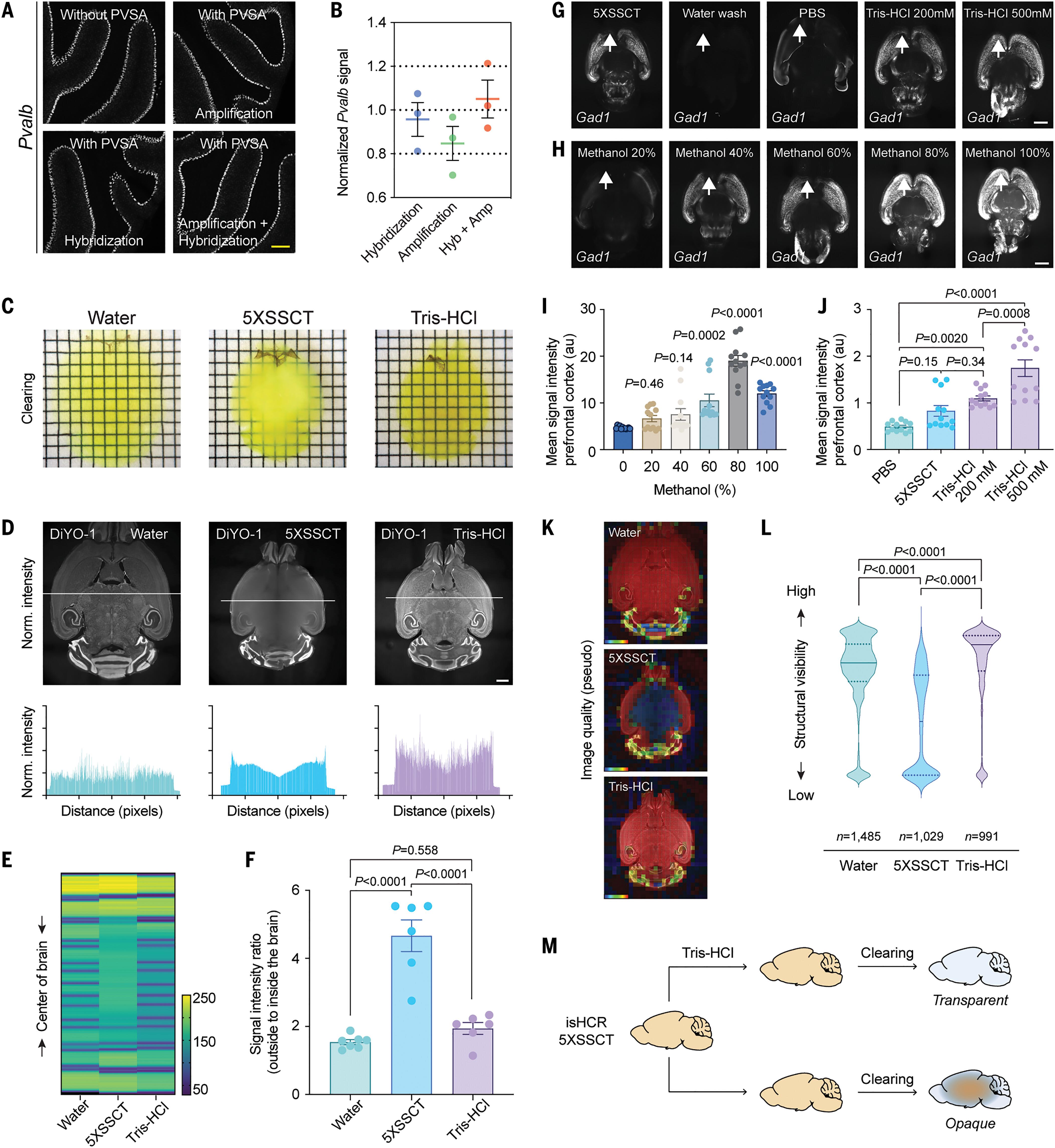 Abstract Image