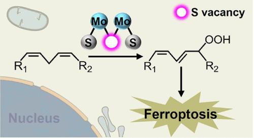 Discovery of Lipoxygenase-Like Materials for Inducing Ferroptosis