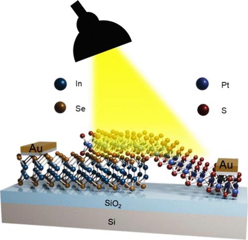 Gate-Controlled InSe/PtS2 van der Waals Heterostructures for High-Performance Electronic and Optoelectronic Devices