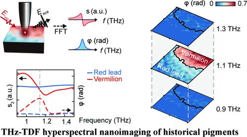 Time-Domain-Filtered Terahertz Nanoscopy of Intrinsic Light–Matter Interactions