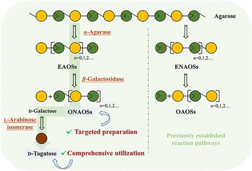 Artificial Cascade Transformation Biosystem for One-Pot Biomanufacturing of Odd-Numbered Neoagarooligosaccharides and d-Tagatose through Wiser Agarose Utilization