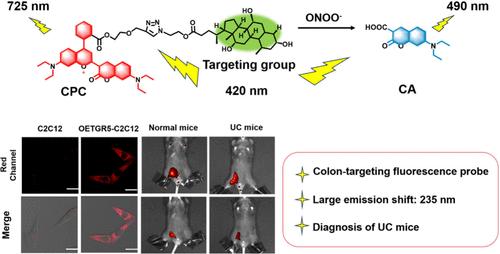 A Novel Colon-Targeting Ratiometric Probe with Large Emission Shift for Imaging Peroxynitrite in Ulcerative Colitis