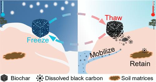 Freeze–Thaw Cycle Events Enable the Deep Disintegration of Biochar: Release of Dissolved Black Carbon and Its Structural-Dependent Carbon Sequestration Capacity