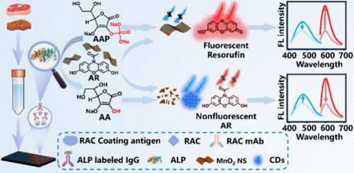 Nanozyme–Enzyme Cascade Reaction-Enhanced Ratiometric Fluorescence Immunosensing Platform for Sensitive and Accurate Detection of Ractopamine