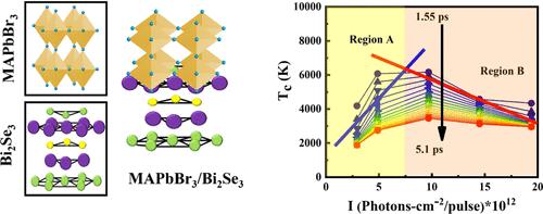 Unraveling the Interplay of Charge Transfer and Excited State Dynamics in MAPbBr3/Bi2Se3 Heterostructures