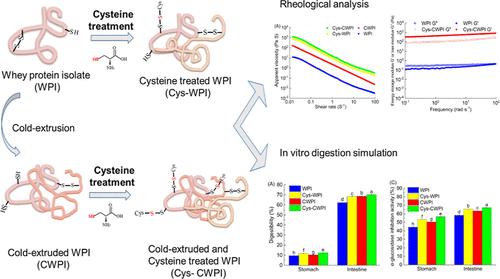 Insight into Sequential Extrusion and Cysteine Treatment for Improving Rheological Characteristics and In Vitro Digestibility of Whey Protein Isolate
