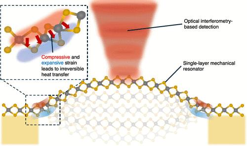 Evidencing Dissipation Dilution in Large-Scale Arrays of Single-Layer WSe2 Mechanical Resonators