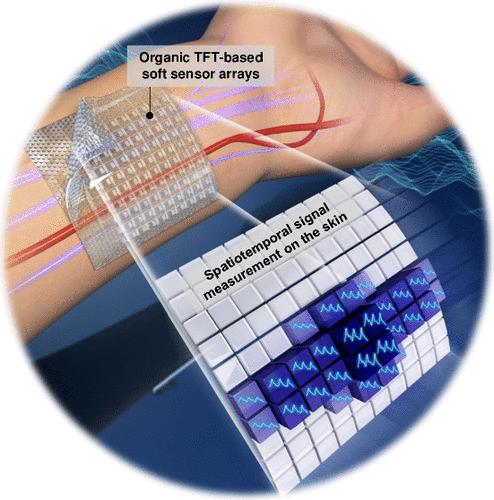 Design and Integration of Organic Printed Thin-Film Transistor-Based Soft Biosensors for Wearable Applications