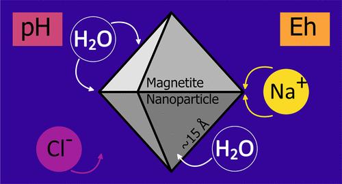 Computational Study on the Octahedral Surfaces of Magnetite Nanoparticles and Their Solvent Interaction