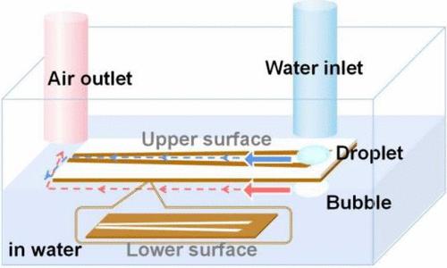 Complementary Superwetting Structures Treated by a Femtosecond Laser for Simultaneous Spontaneous Directional Transport of Water Droplets and Underwater Bubbles