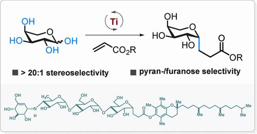 C–OH Bond Activation for Stereoselective Radical C-Glycosylation of Native Saccharides