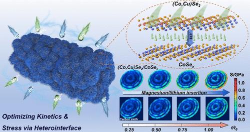 Engineering Heterointerface to Synergistically Regulate Kinetics and Stress of Copper–Cobalt Selenide toward Reversible Magnesium/Lithium Hybrid Batteries