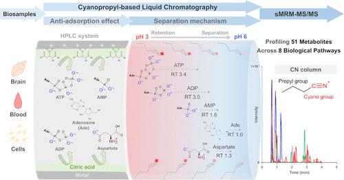 Advancing Targeted Metabolomics Using Cyanopropyl-Based Liquid Chromatography Tandem Mass Spectrometry