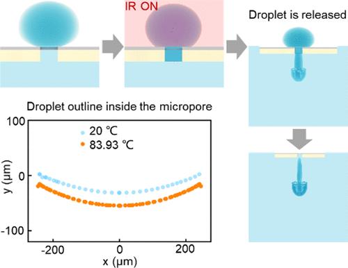 Light-Triggered Droplet Gating Strategy Based on Janus Membrane Fabricated by Femtosecond Laser