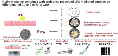 A probiotic multi-strain mixture combined with hydroxyectoine improves intestinal barrier function by alleviating inflammation in lipopolysaccharide stimulated differentiated Caco-2 cells†