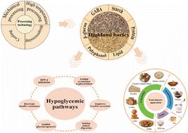 Review on mechanisms of hypoglycemic effects of compounds from highland barley and potential applications†