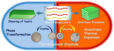 Bidirectional strain release in a thermosalient organic salt crystal induced by anisotropic thermal expansion and phase transformation†