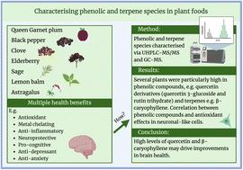 Characterisation and quantification of phenolic, anthocyanidin and terpene species in plant foods and plant food-based complementary products with antioxidant and neuroprotective properties†