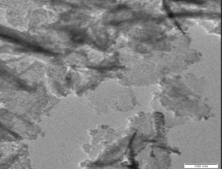 Green Synthesis Montmorillonite Clay Supported Co3O4 Nanoparticles and Its Catalytic Efficacy Towards Baeyer–Villiger Oxidation