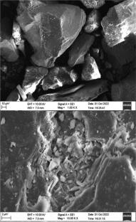 Study on the performance of hydrophilic curing agent and environmentally friendly non-pozzolanic filler for the development of self-curing self-compacting concrete