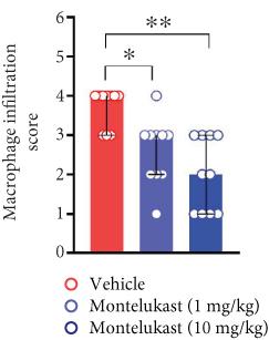 Cysteine Leukotriene Receptor Antagonist—Montelukast—Treatment Improves Experimental Abdominal Aortic Aneurysms in Mice