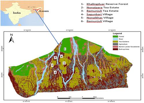 Adivasi (Tea Tribe) worldviews of living close to wild Asian elephants in Assam, India