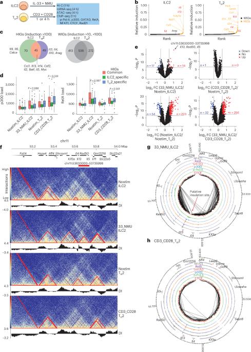 Remodeling of Il4-Il13-Il5 locus underlies selective gene expression