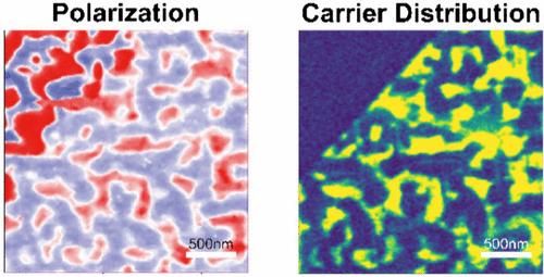 Nanoscale Mapping of Carrier Distribution Regulated by Polarization in 2D FeFETs