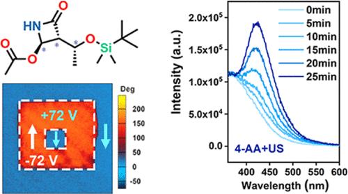 Observation of Ferroelectricity in Carbapenem Intermediates Enables Reactive Oxygen Species Generation by Ultrasound