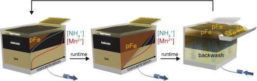Influence of filter backwashing on iron, manganese, and ammonium removal in dual-media rapid sand filters used for drinking water production