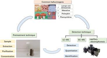 Hallucinogens in different complex samples: Recent updates on pretreatment and analysis methods since 2017