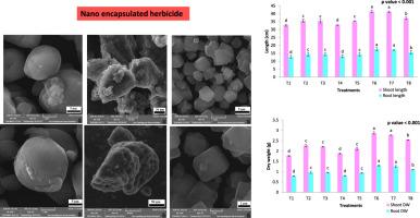 Controlled release formulations of encapsulated herbicide enhances herbicide activity as a tool for agro-ecotoxicity