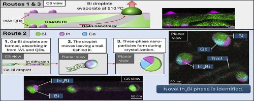 The effects of growth interruptions in the GaAsBi/InAs/GaAs quantum dots: The emergence of three-phase nanoparticles