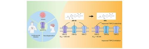 Discovery of a potent and selective TRPC3 antagonist with neuroprotective effects