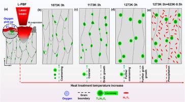 Superior superelasticity of laser powder bed fusion fabricated NiTi alloys achieved by post heat treatment