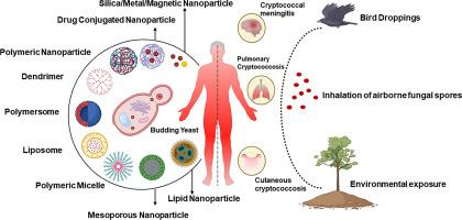 Advancing cryptococcal treatment: The role of nanoparticles in mitigating antifungal resistance