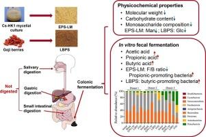 Metabolic outcomes of Cordyceps fungus and Goji plant polysaccharides during in vitro human fecal fermentation