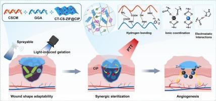 Chitosan and gelatin based sprayable hydrogels incorporating photothermal and long-acting antibiotic sterilization for infected wound management with shape adaptability