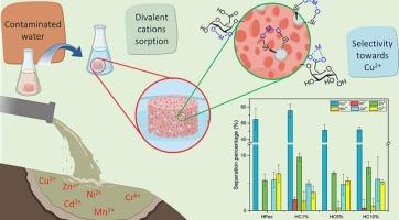 An ecofriendly pectin-co-montmorillonite composite hydrogel for the separation of contaminant metal ions from water