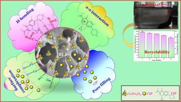 Enhanced removal of ciprofloxacin antibiotic using agricultural byproduct-derived biochars: From studies on adsorption kinetic, isotherm and thermodynamic to explore mechanistic insights into the removal pathway